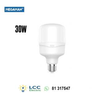 Brilliant Led Bulb T100 E27 30W Megaman