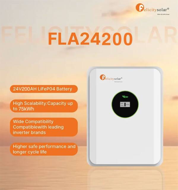 Felicity Solar 5KW 24V 200AH FLA Lithium - Image 2
