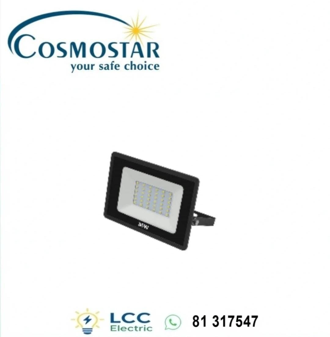 Bright Floodlight 30W IP65