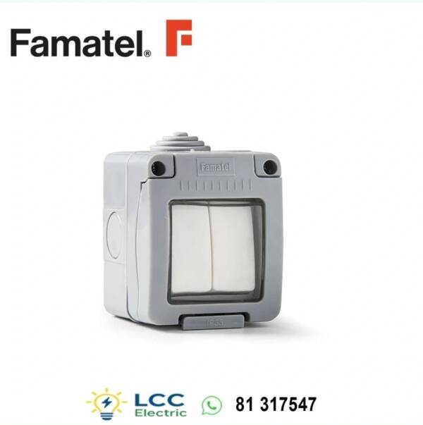 Powerful Double Watertight Switch 250V Famatel