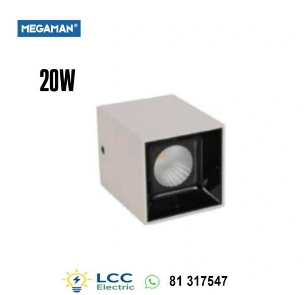 Brilliant Wall Mounted Downlight 20W