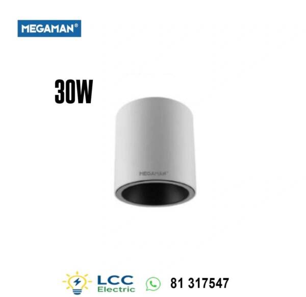 Brilliant Wall Mounted Downlight 30W Megaman