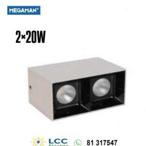 Brilliant Wall Mounted Downlight 2×20W