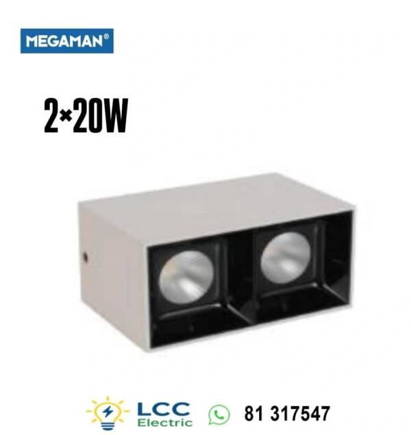 Brilliant Wall Mounted Downlight 2×20W