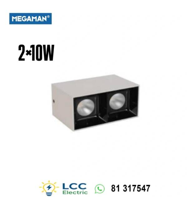 Brilliant Wall Mounted Downlight 2×10W Megaman
